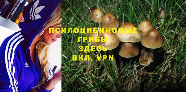 кристаллы Богданович