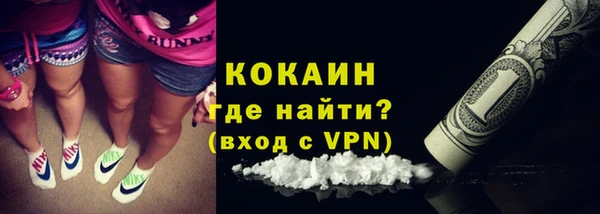 apvp Богородицк