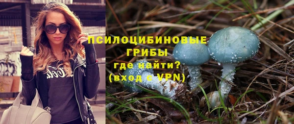 apvp Богородицк